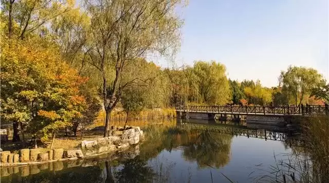 旅游年卡分享网