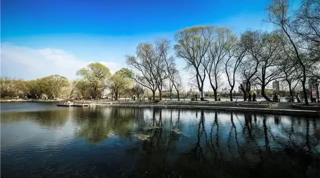 旅游年卡分享网