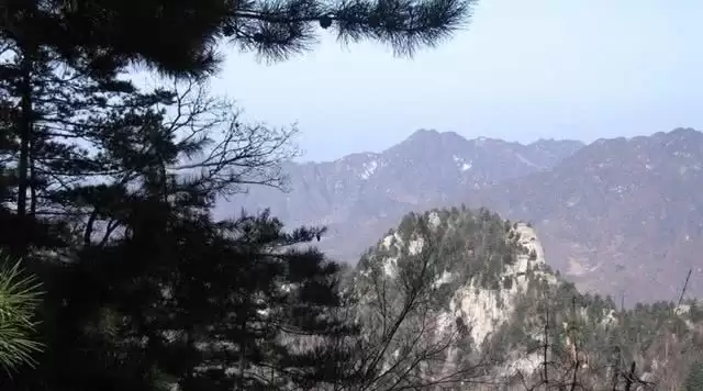 旅游年卡分享网