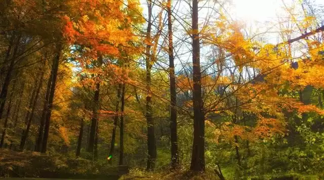 扶风野河山森林公园（3A）-全国景区年卡优惠汇总与景区游玩攻略|