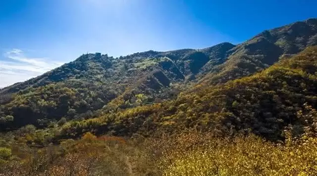 旅游年卡分享网