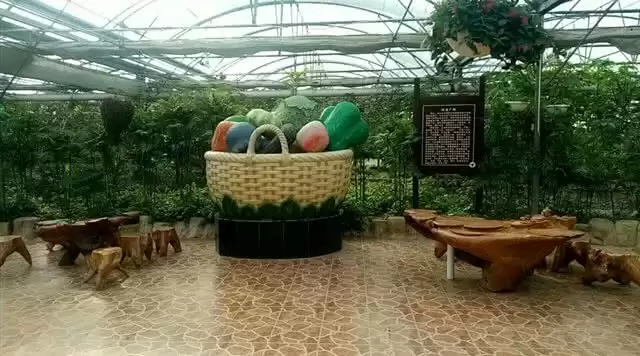 旅游年卡分享网