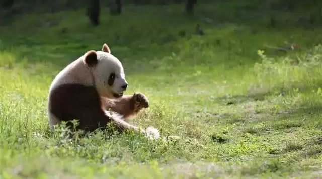 旅游年卡分享网