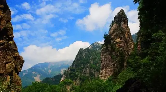 旅游年卡分享网