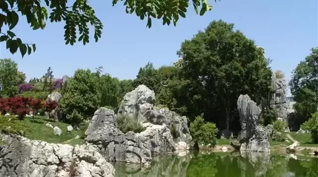 旅游年卡分享网