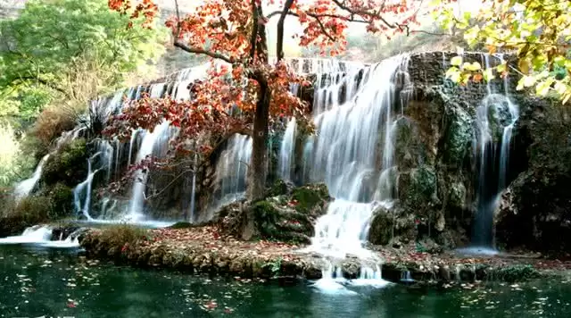 旅游年卡分享网