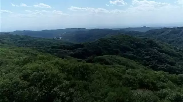 旅游年卡分享网