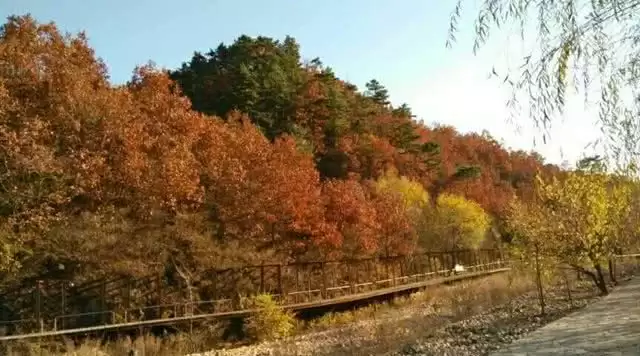 旅游年卡分享网