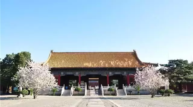 旅游年卡分享网