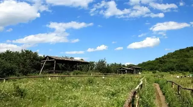 旅游年卡分享网
