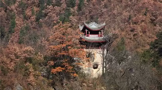 旅游年卡分享网