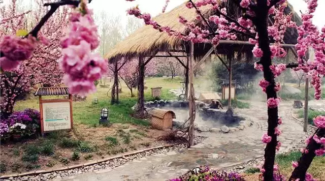 旅游年卡分享网