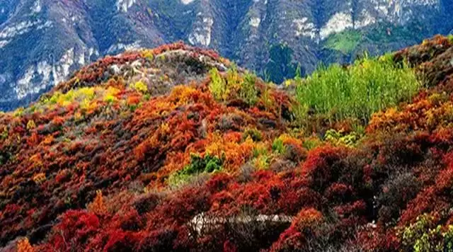 旅游年卡分享网