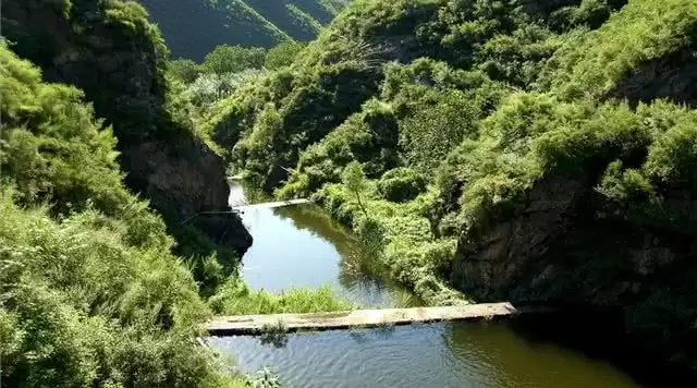 旅游年卡分享网