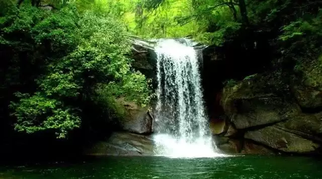 旅游年卡分享网