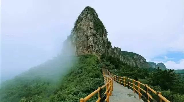 旅游年卡分享网