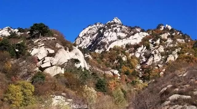 旅游年卡分享网