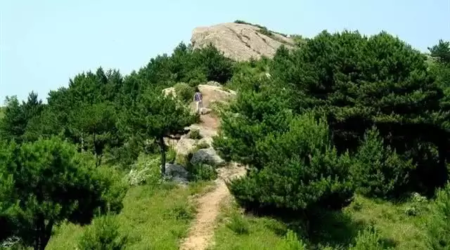 旅游年卡分享网