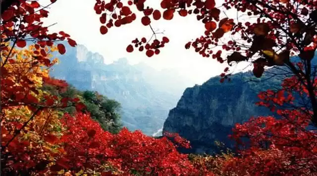 旅游年卡分享网