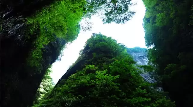 旅游年卡分享网