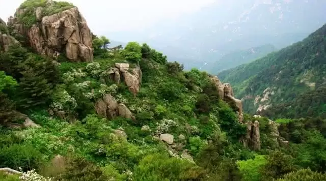 旅游年卡分享网