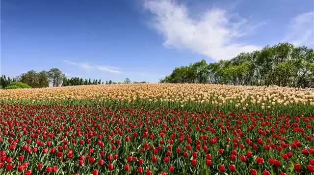 旅游年卡分享网