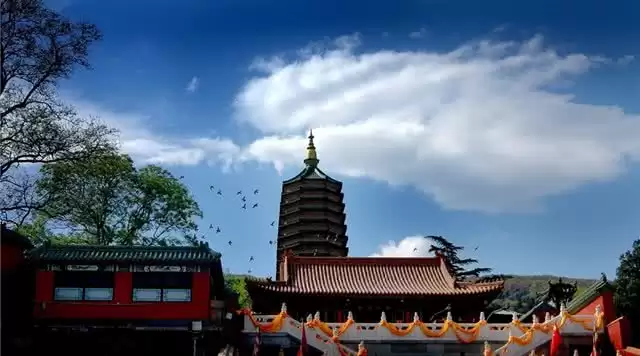 旅游年卡分享网