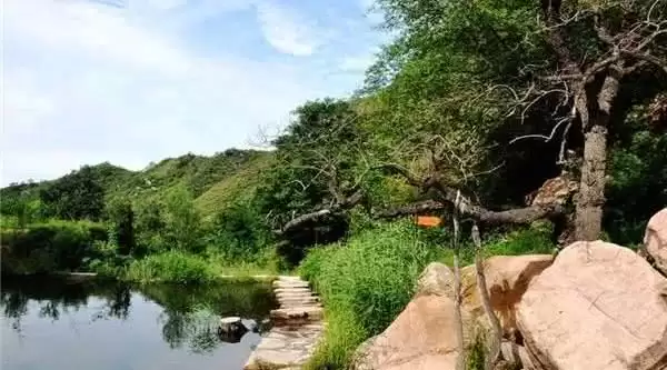 旅游年卡分享网