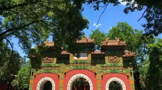 旅游年卡分享网