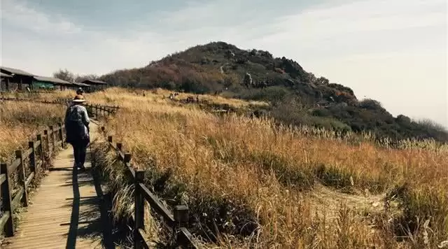 旅游年卡分享网