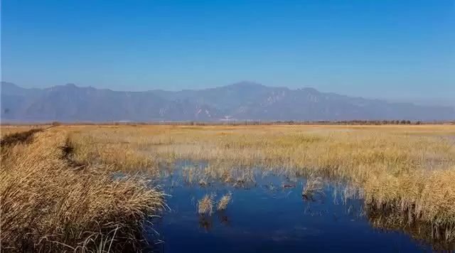 旅游年卡分享网