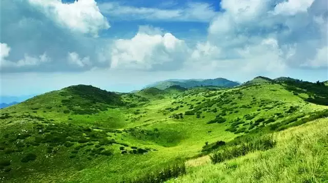 旅游年卡分享网