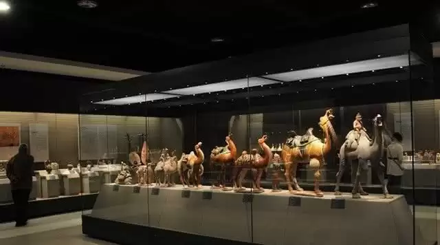 旅游年卡分享网