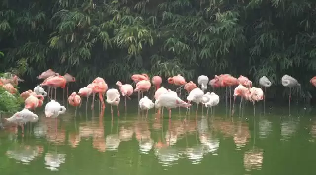 旅游年卡分享网