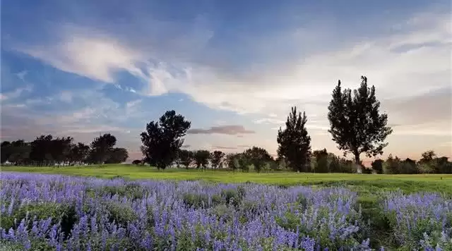 旅游年卡分享网