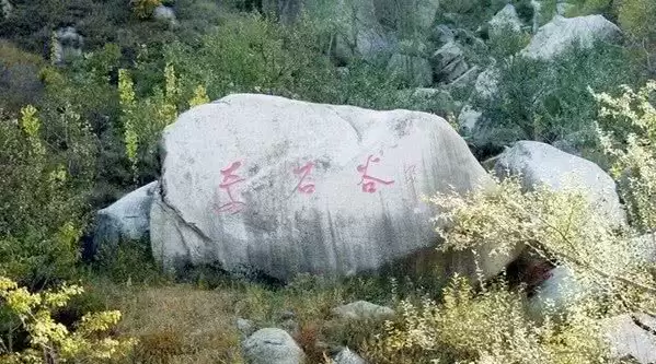 旅游年卡分享网