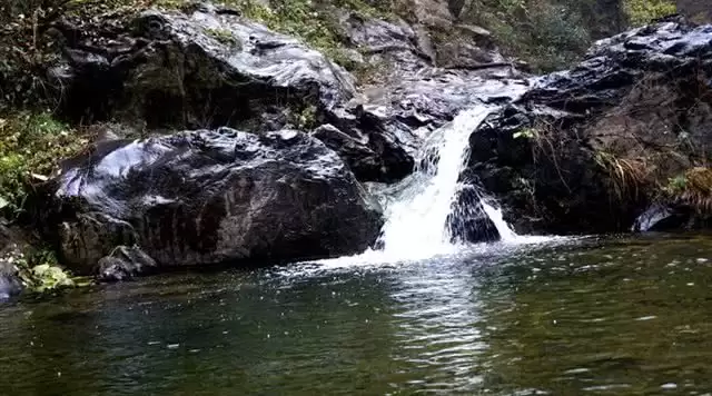 旅游年卡分享网