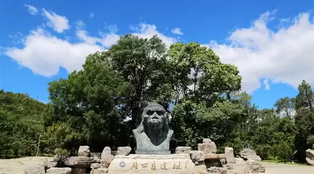 旅游年卡分享网