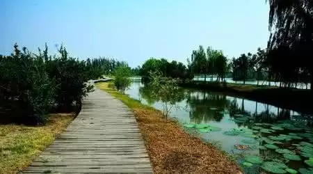 旅游年卡分享网