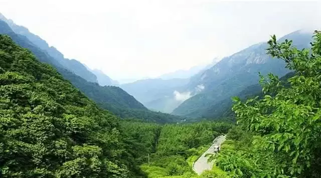 旅游年卡分享网