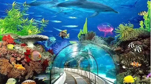 旅游年卡分享网