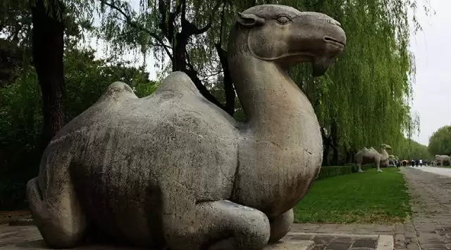 旅游年卡分享网