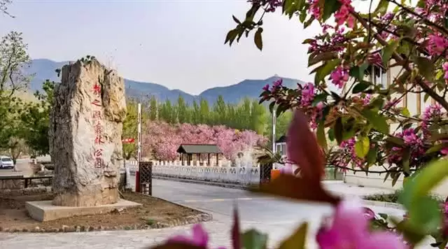 旅游年卡分享网