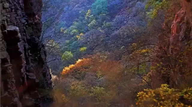 旅游年卡分享网