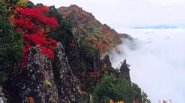 旅游年卡分享网