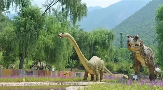 旅游年卡分享网