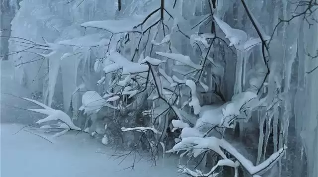 旅游年卡分享网