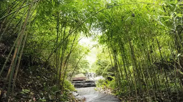 旅游年卡分享网