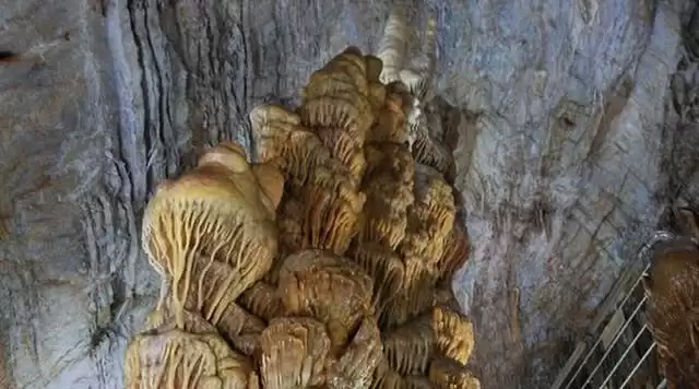 旅游年卡分享网