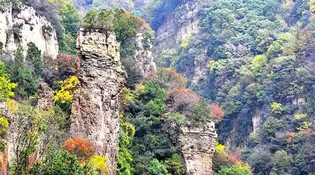 旅游年卡分享网